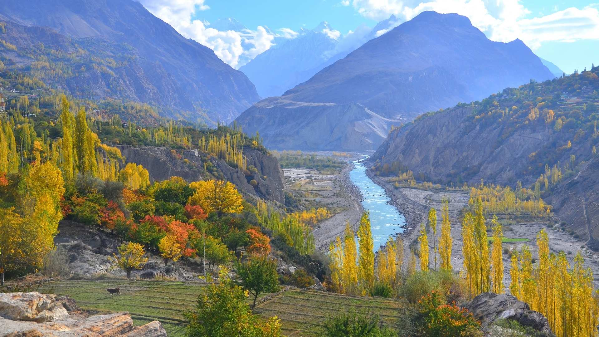 Pakistan Tours